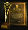 10.02.2010: Сертификаты и награды 2009 (Сертификаты и награды компании "Современные технологии", полученные в 2009 году.)